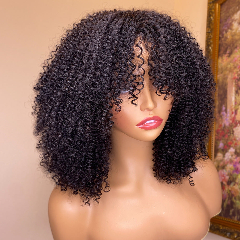 Curly human hair wig