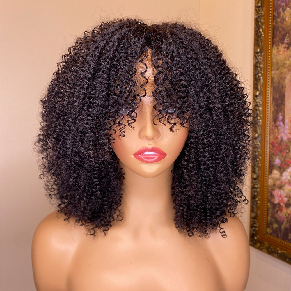 Curly human hair wig